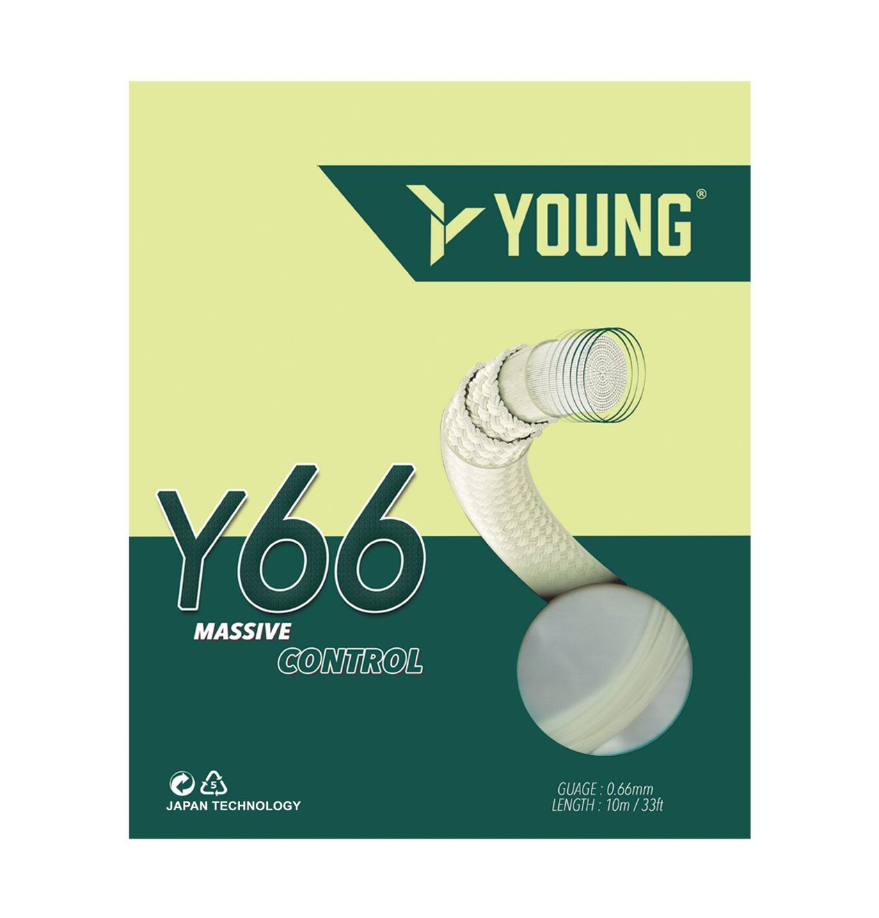 YOUNG Strings